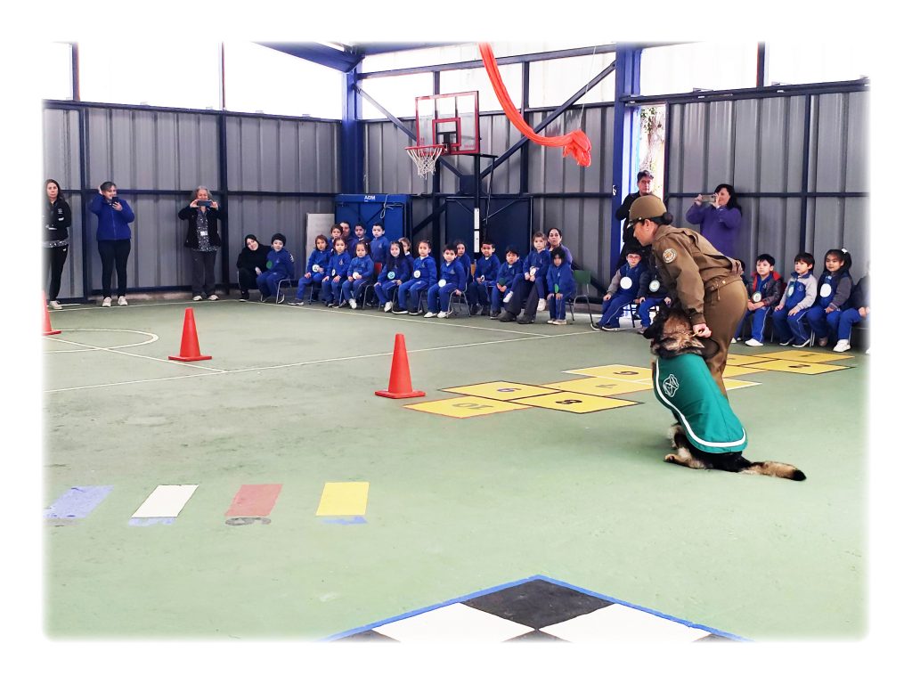 Visita sección canina de Carabineros de Chile a dependencias de Párvulos – Colegio Concepción Talca