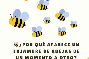 Post de Instagram Abejas - 1