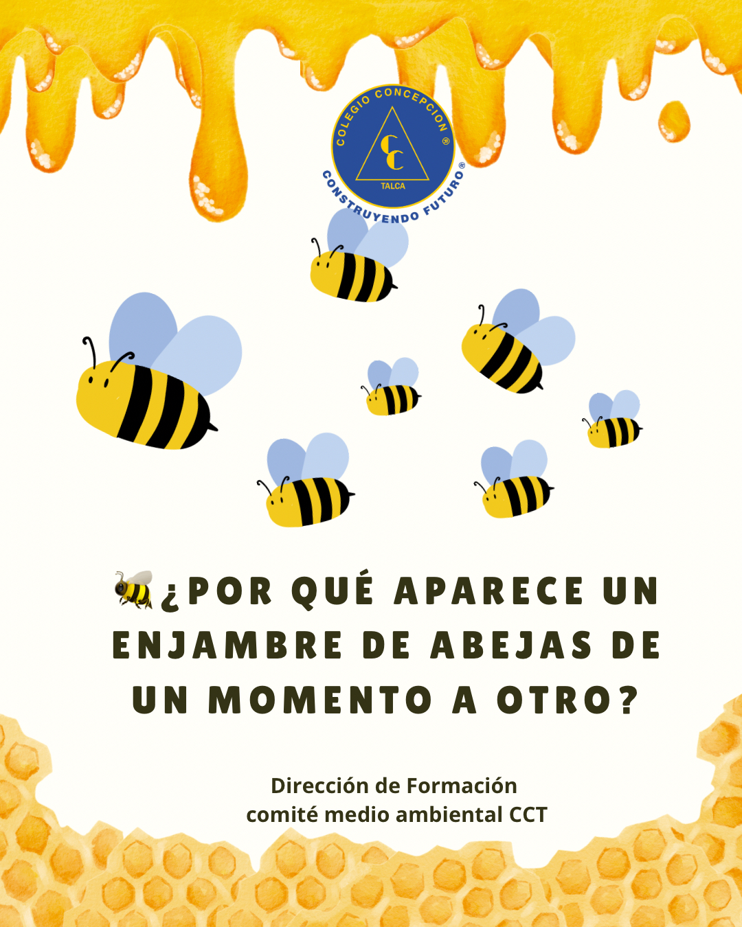 Post de Instagram Abejas - 1