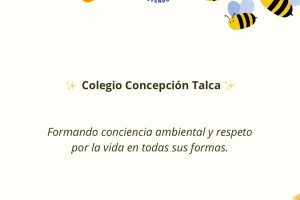 Post de Instagram Abejas - 10