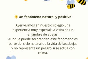 Post de Instagram Abejas - 2