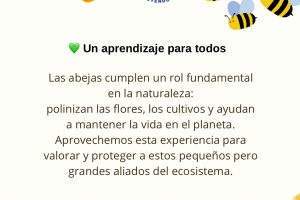 Post de Instagram Abejas - 8