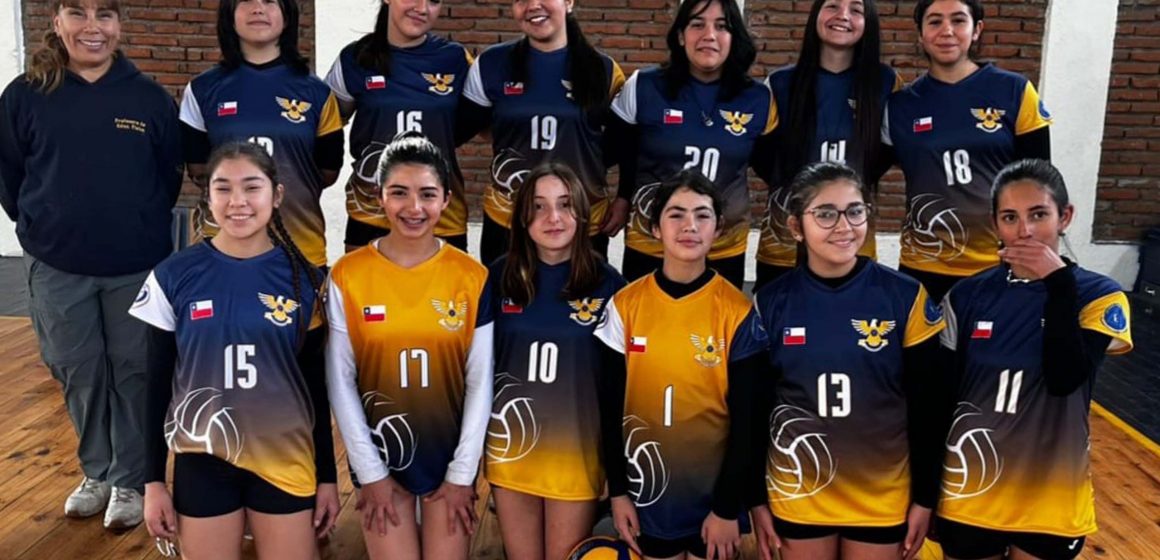 Voleibol