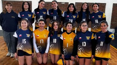 Voleibol