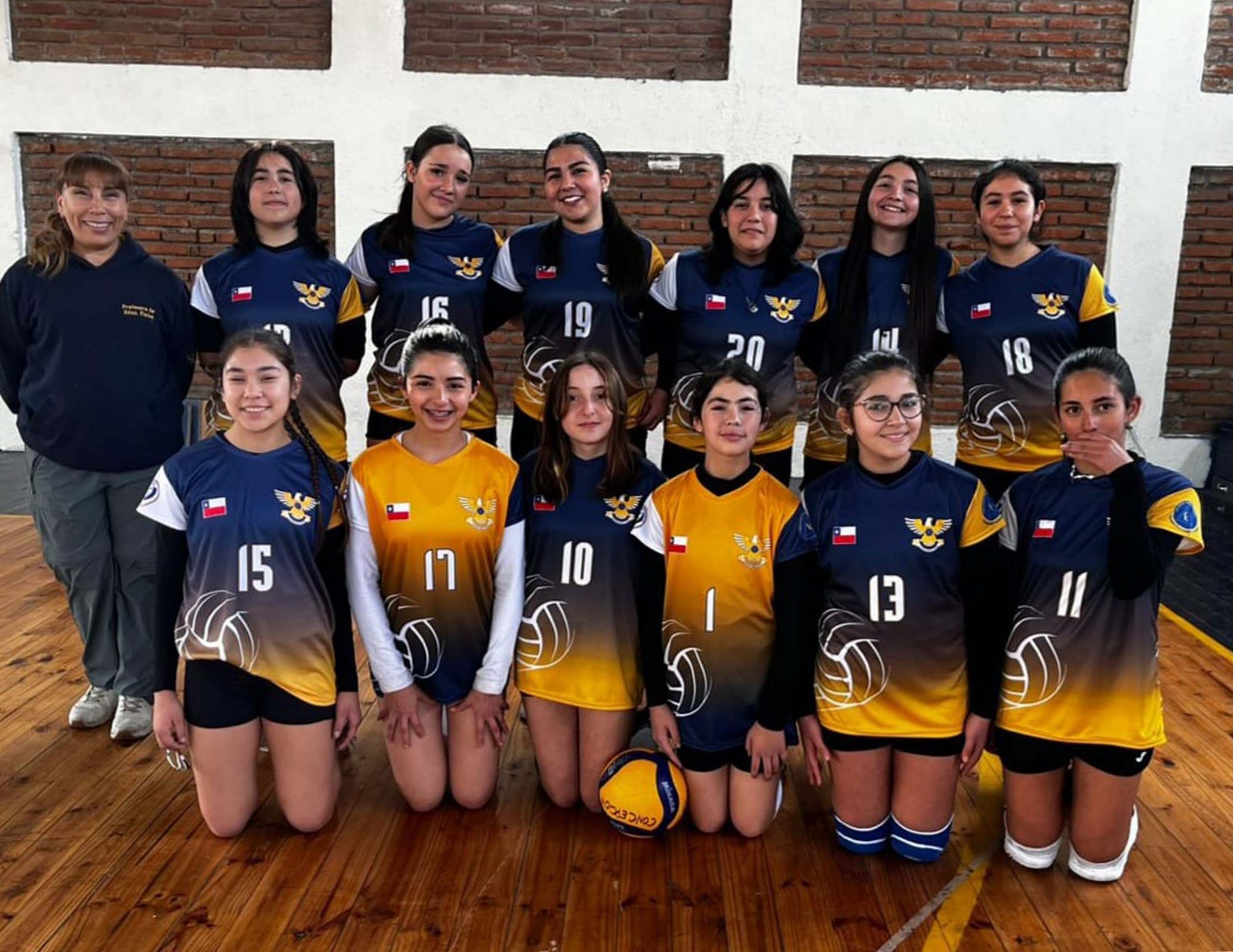 Voleibol